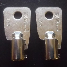 HMC19001 to HMC19250 2-NEW KEYS FOR Protex Gun Wall Safe Homak. Replacement KEY