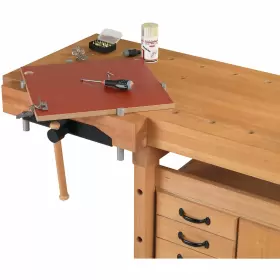 4888123 SJOBERGS Elite Bench Dogs #3