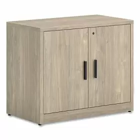 105291LKI1 THE HON Storage Cabinet Doors Shelves