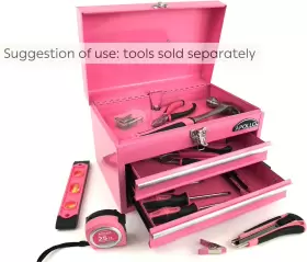 DT5010P STEEL Tool Box Top Drawers Du #3