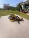 DEWALT DW421K Corded Orbital Sander