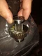 RIDGID TOOL 44825 / 44825 (NEW NO BOX)