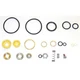 Wesco 052722 Seal Kit, 260002, Hydraulic Stacker