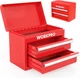 WORKPRO Mini Metal Tool Box with 2 Drawers and Top Storage, Small Tool Chest wit