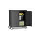 Metal Garage Storage Cabinet with Wheels,Locking Rolling Tool Cabinet with Dr...